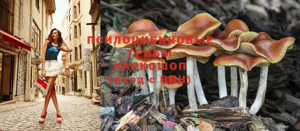 синтетический гашиш Верхний Тагил