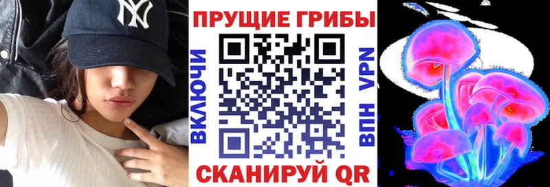 Псилоцибиновые грибы ЛСД  цены   Шагонар 