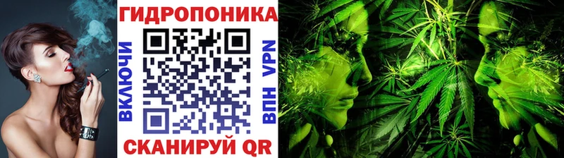Канабис SATIVA & INDICA  Шагонар 